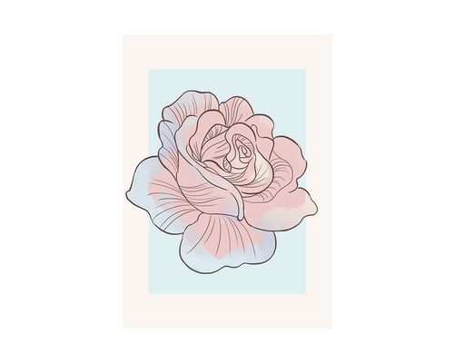 KOMAR Poster Cinderella Rose 50x70 cm
