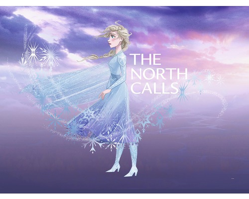 KOMAR Poster Frozen Elsa The North Calls 40x30 cm