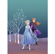 Illustratie van Anna en Elsa uit Frozen voor een boomachtergrond