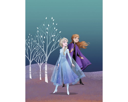 KOMAR Poster Frozen Sisters 30x40 cm