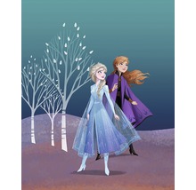 Illustratie van de personages Anna en Elsa uit Frozen