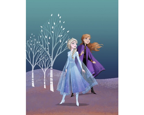 KOMAR Poster Frozen Sisters 40x50 cm
