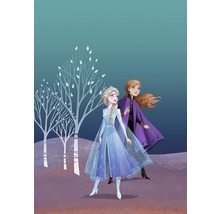 Illustratie van de zussen Anna en Elsa uit Frozen