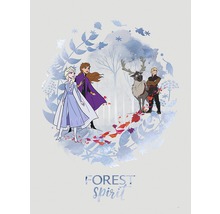 Illustratie met de personages uit Frozen: Anna, Elsa, Kristoff en Rendier Sven in het bos.