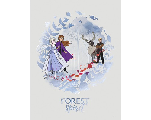 KOMAR Poster Frozen Spirit 30x40 cm