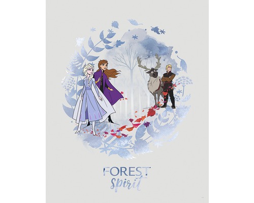 KOMAR Poster Frozen Spirit 40x50 cm