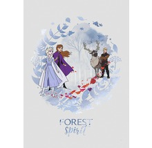 Illustratie van Anna, Elsa, Kristoff en rendier Sven uit de film Frozen II, met de tekst Woudgeest