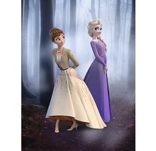 KOMAR Poster Frozen Wood Walk 30x40 cm