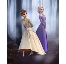 Twee personages uit de film Frozen poseren in het bos.