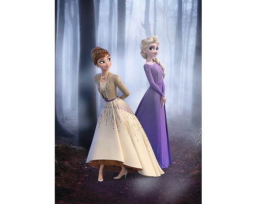 KOMAR Poster Frozen Wood Walk 50x70 cm