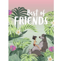 KOMAR Poster Jungle Book Best of Friends 30x40 cm