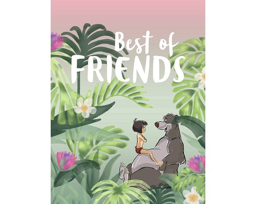 KOMAR Poster Jungle Book Best of Friends 30x40 cm