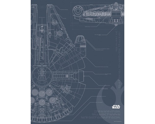 KOMAR Poster Star Wars Blueprint Falcon 30x40 cm