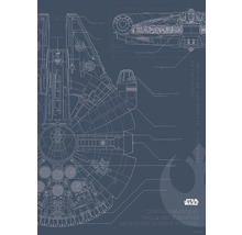 KOMAR Poster Star Wars Blueprint Falcon 50x70 cm