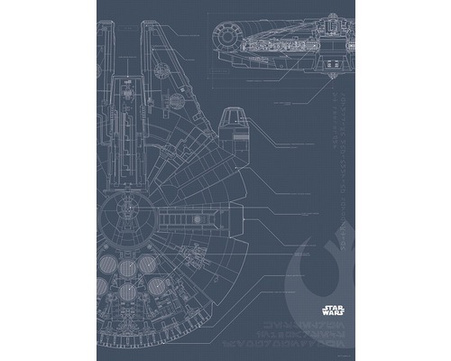 KOMAR Poster Star Wars Blueprint Falcon 50x70 cm