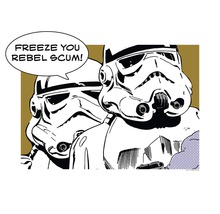 "Illustratie van twee Stormtroopers met het citaat: ""Freeze you rebel scum!"""