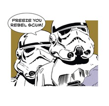 Afdruk van twee Stormtroopers met de tekst Freeze You Rebel Scum
