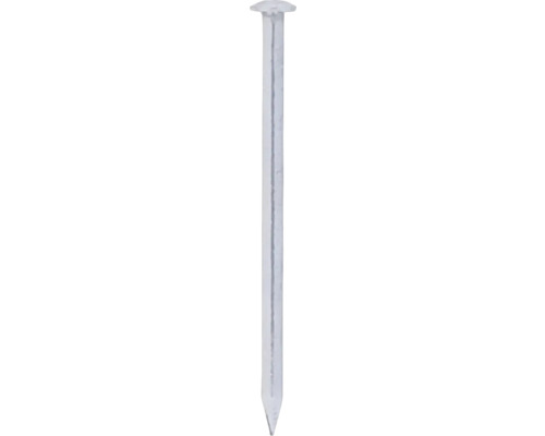 DELTAFIX Draadnagel 2,7x55 mm bolkop RVS A2, 200 stuks Een enkele stalen nagel met platte kop