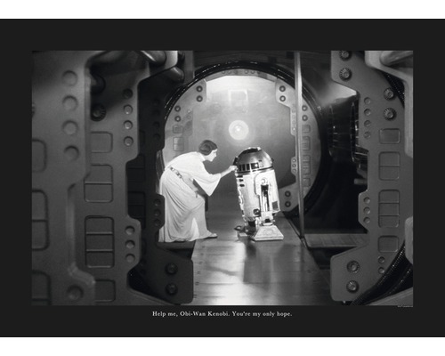 KOMAR Poster Star Wars Classic Leia R2D2 Quote 70x50 cm