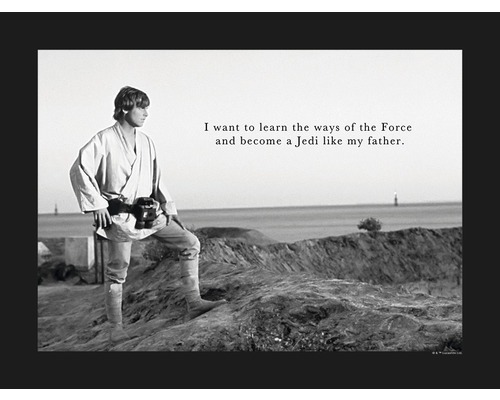 KOMAR Poster Star Wars Classic Luke Quote 40x30 cm