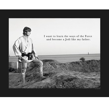 KOMAR Poster Star Wars Classic Luke Quote 50x40 cm