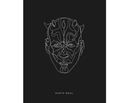 KOMAR Poster Star Wars Lines Dark Side Maul 40x50 cm