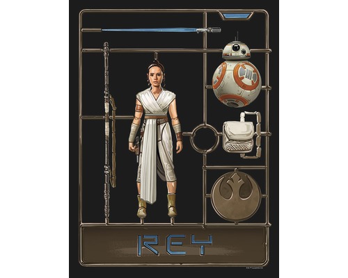 KOMAR Poster Star Wars Toy Rey 30x40 cm