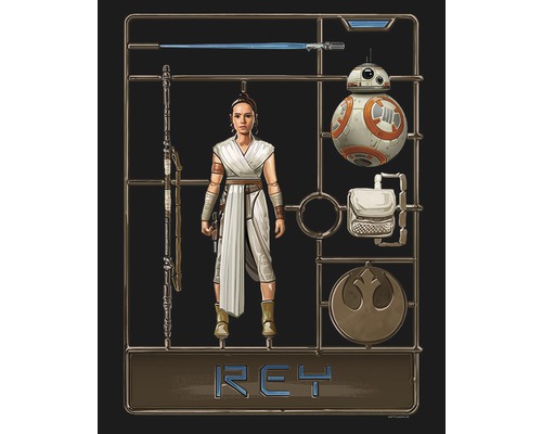 Star Wars Rey modelbouwpakket
