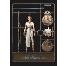 Star Wars Rey modelbouwpakket met figuur, robot en accessoires