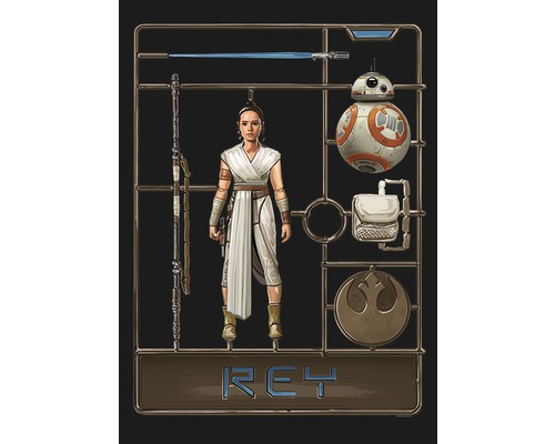 Star Wars Rey modelbouwpakket met figuur, robot en accessoires