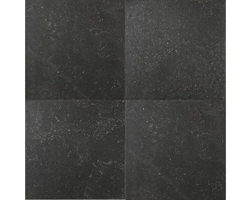 Wand- en vloertegel River negro 58,5x58,5 cm gerectificeerd