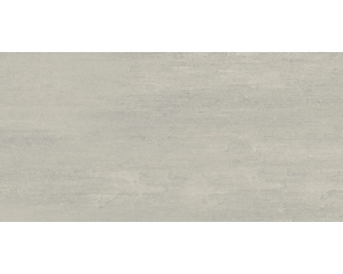 Wand- en vloertegel Mestreech frost 59.7x29.7 cm gerectificeerd