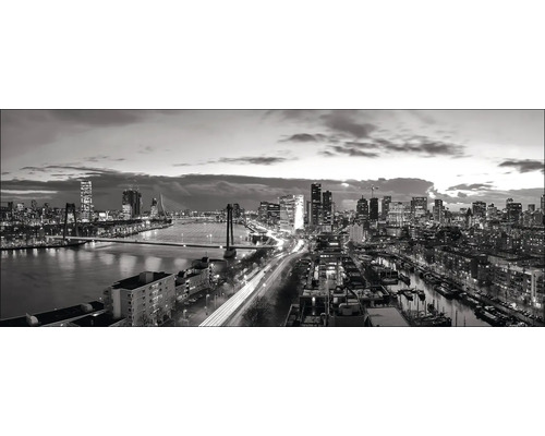 Zwart-witfotografie van de skyline van Rotterdam met bruggen en rivier.