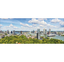 Panorama van Rotterdam met skyline, brug en schip