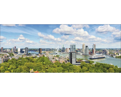 Panorama van Rotterdam met skyline, brug en schip