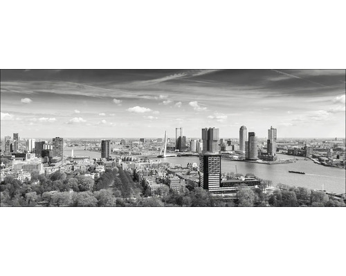 Zwart-wit panoramafoto van Rotterdam met uitzicht op de skyline, de Erasmusbrug en de Nieuwe Maas.