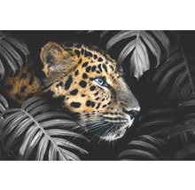 REINDERS Poster Leopard Leafs 61x91,5 cm