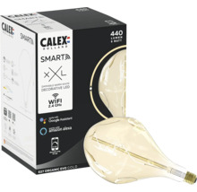 Calex Smart LED lamp E27 Organic Evo Gold en productverpakking