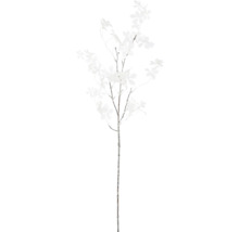 Decoratieve tak met bladeren