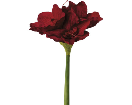 Kunstplant Amaryllis rood H 66 cm