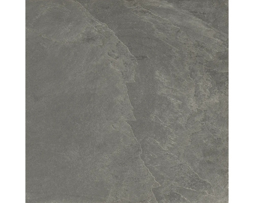 Wand- en Vloertegel Feinstein mud 59,5x59,5 cm gerectificeerd