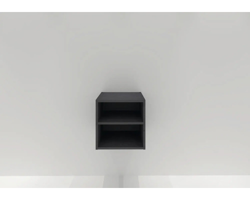 Hangende kast met twee vakken