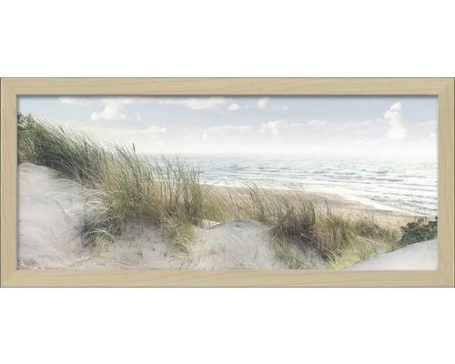 PURE LIVING Schilderij met lijst Baltic sea 60x130 cm