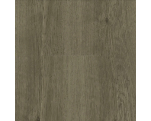 FLEXXFLOORS Klik Basic PVC savanna 2,6 m²