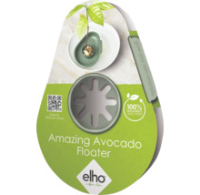 Amazing Avocado Floater voor het kweken van avocadoplanten