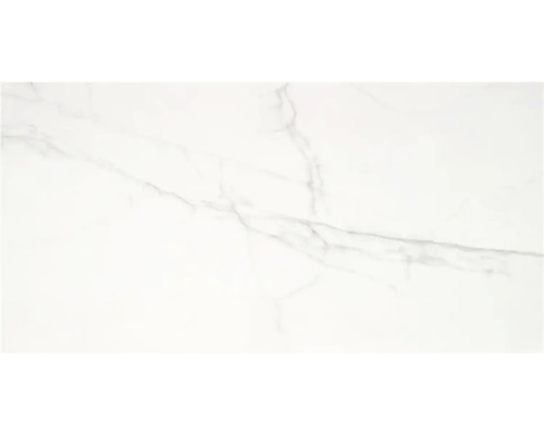 Wand- en Vloertegel Joy cold gepolijst 59x119 cm gerectificeerd wit