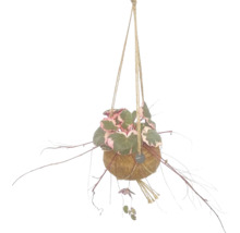Hangplant in kokosnootschaal met jute touw