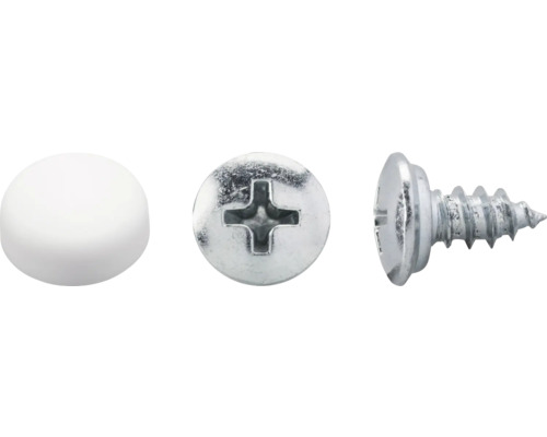 DRESSELHAUS Plaatschroef met kap 5,6x22 mm wit, 100 stuks Verzonken schroef met afdekkap, verschillende aanzichten