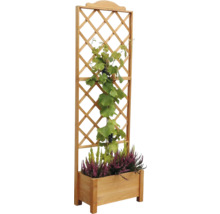 Houten plantenbak met klimrek en planten