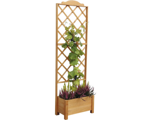 Houten plantenbak met klimrek en planten